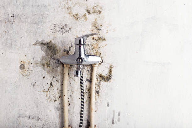 Best Mold Remediation for Schools in Spout Springs, NC